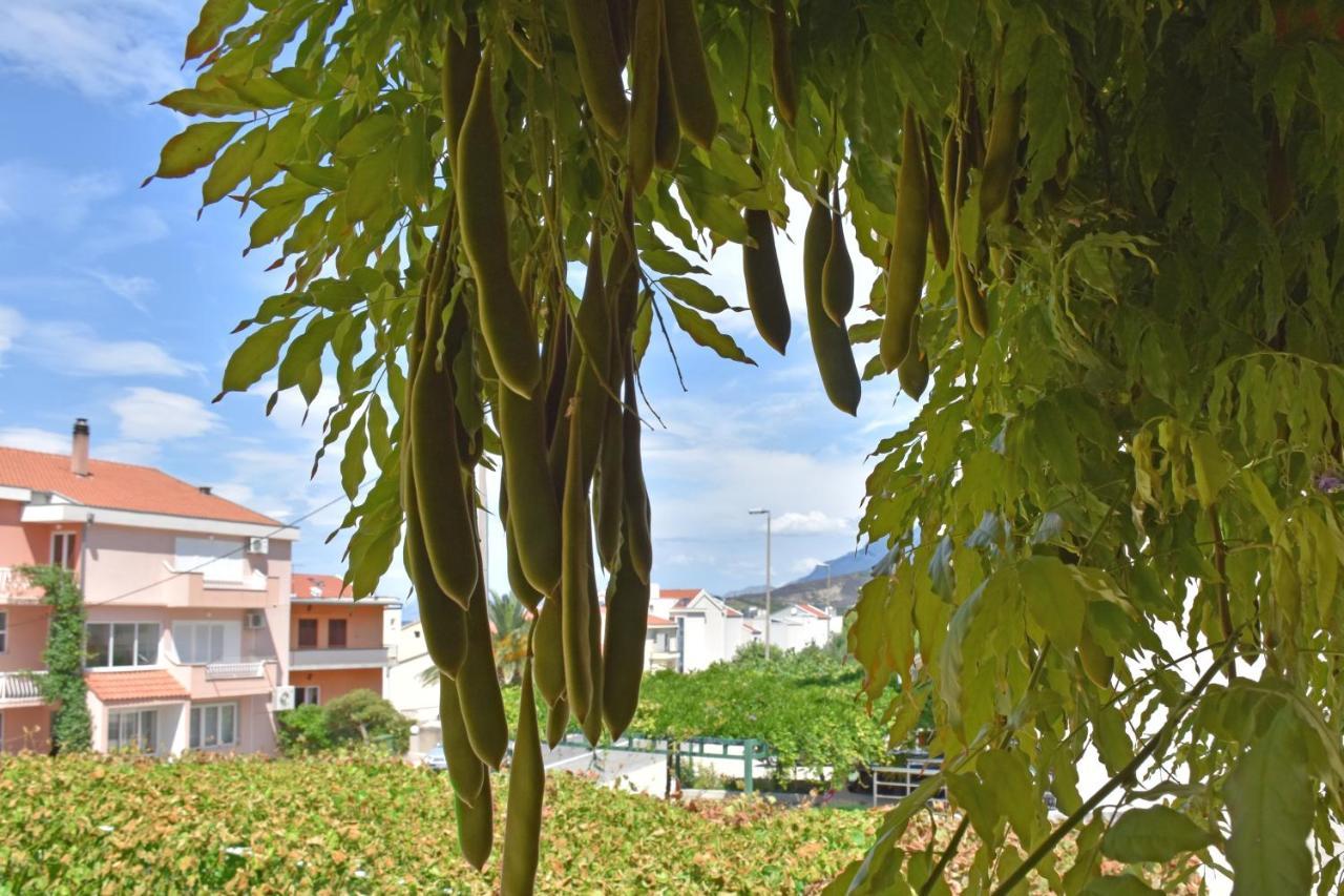 Apartments Stone Tucepi Exterior photo